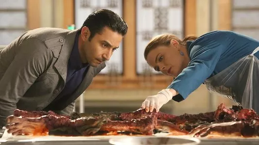 Poster del episodio 10 de Bones online