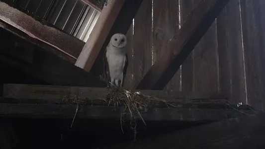 Poster del episodio 1 de Fantasmas (US) online