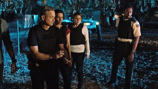 Poster del episodio 13 de Criminal Minds: Beyond Borders online