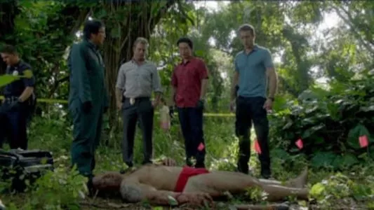 Poster del episodio 17 de Hawai 5.0 online