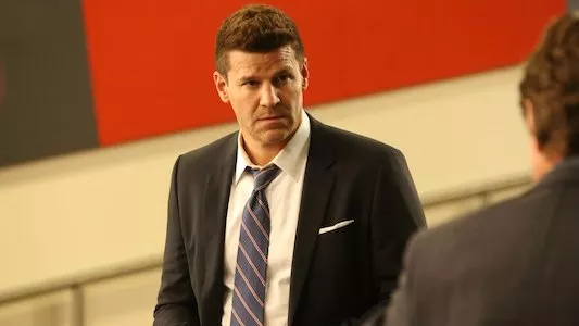 Poster del episodio 20 de Bones online