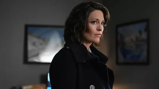 Poster del episodio 15 de FBI online