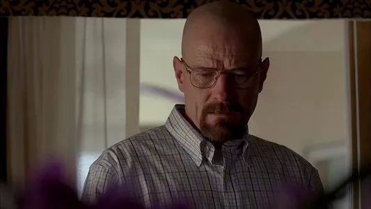 Poster del episodio 9 de Breaking Bad online