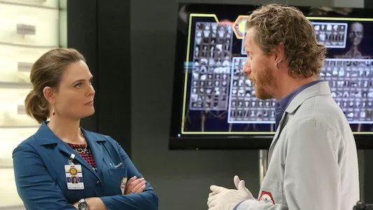 Poster del episodio 15 de Bones online