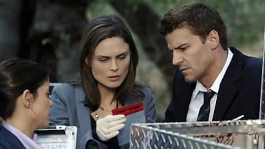 Poster del episodio 10 de Bones online
