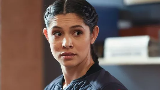Poster del episodio 13 de Chicago Fire online