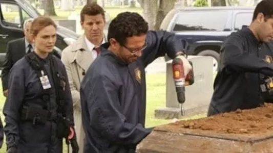 Poster del episodio 22 de Bones online