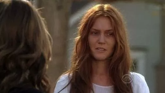 Poster del episodio 17 de Ghost Whisperer online