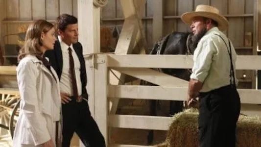 Poster del episodio 3 de Bones online