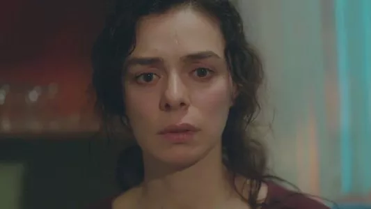 Poster del episodio 20 de Mujer (Kadin) online