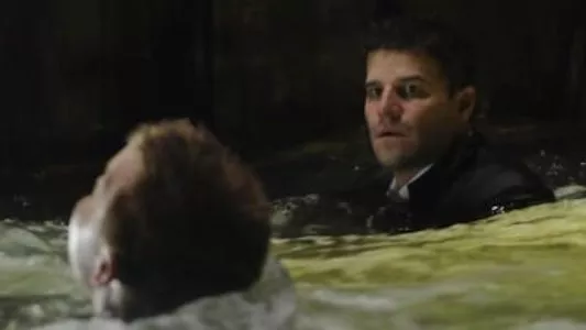 Poster del episodio 14 de Bones online