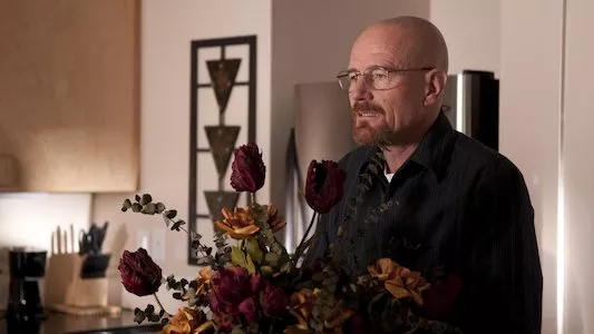 Poster del episodio 7 de Breaking Bad online