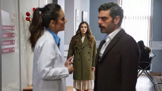 Poster del episodio 8 de The Pigeon online