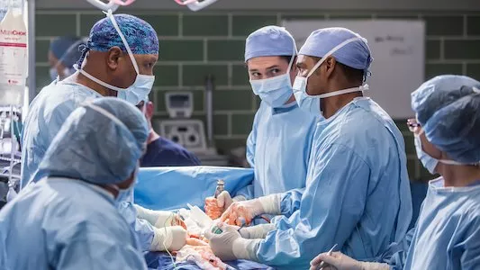 Poster del episodio 13 de Anatomia de Grey online