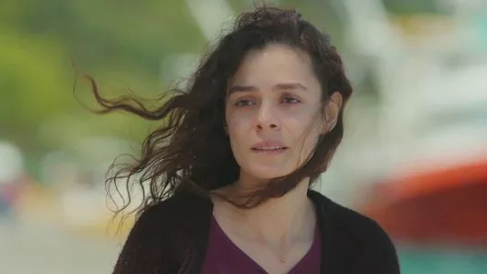 Poster del episodio 29 de Mujer (Kadin) online