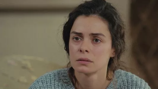 Poster del episodio 19 de Mujer (Kadin) online