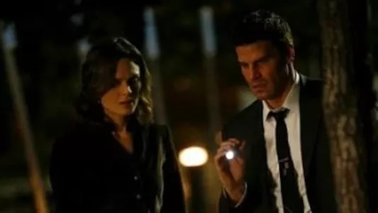 Poster del episodio 15 de Bones online