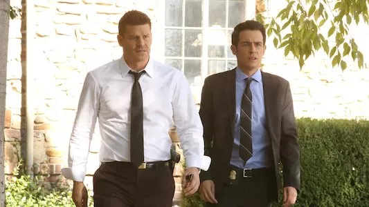 Poster del episodio 10 de Bones online