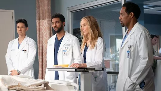 Poster del episodio 17 de Anatomia de Grey online