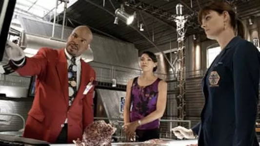 Poster del episodio 4 de Bones online