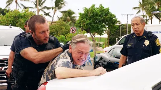 Poster del episodio 13 de Hawai 5.0 online