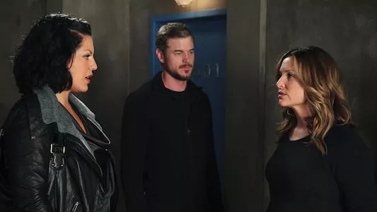 Poster del episodio 12 de Anatomia de Grey online