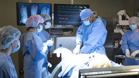 Poster del episodio 1 de Scrubs (2026) online