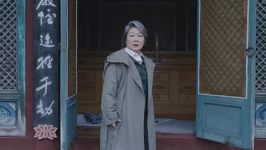 Poster del episodio 11 de inspector koo online