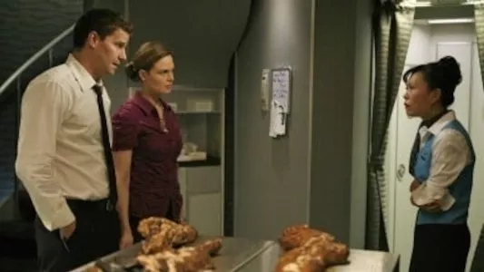 Poster del episodio 10 de Bones online