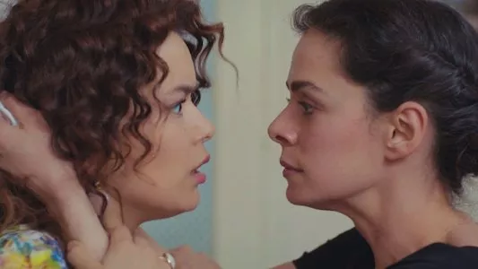 Poster del episodio 31 de Mujer (Kadin) online