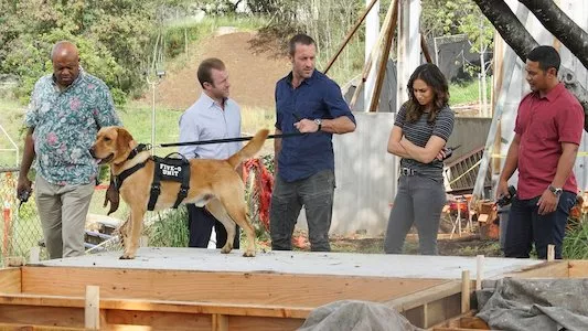 Poster del episodio 16 de Hawai 5.0 online