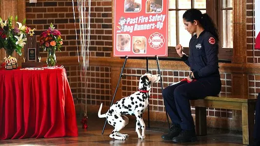 Poster del episodio 11 de Chicago Fire online