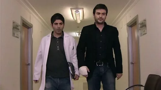 Poster del episodio 25 de Mi Último Deseo online
