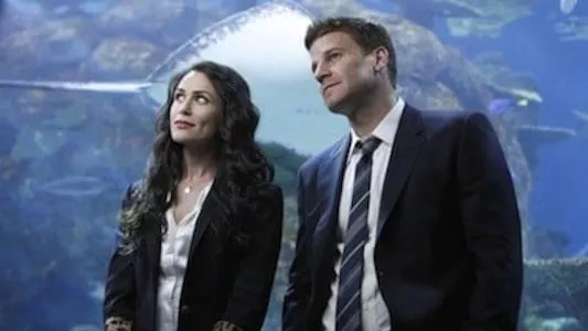 Poster del episodio 18 de Bones online