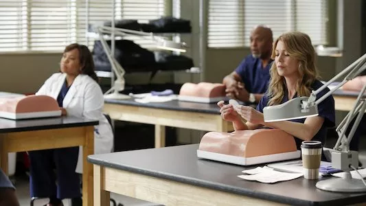 Poster del episodio 13 de Anatomia de Grey online