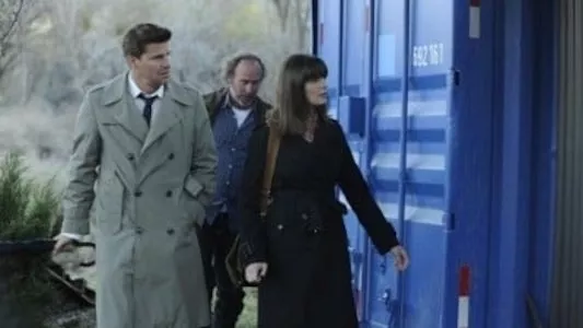 Poster del episodio 17 de Bones online
