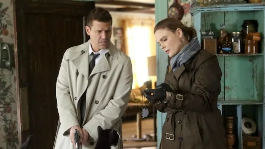Poster del episodio 13 de Bones online