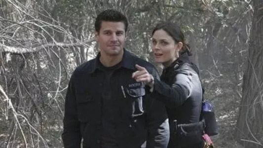 Poster del episodio 10 de Bones online