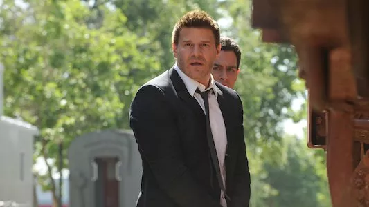 Poster del episodio 22 de Bones online