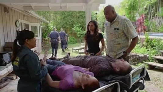 Poster del episodio 25 de Hawai 5.0 online