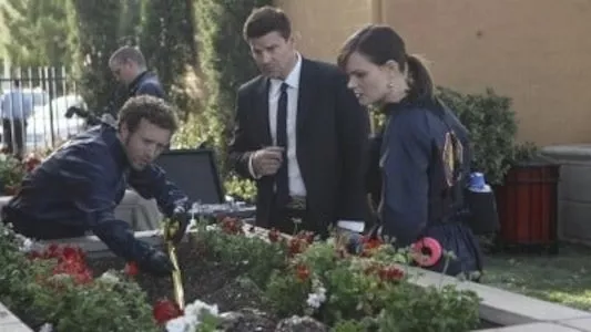 Poster del episodio 20 de Bones online
