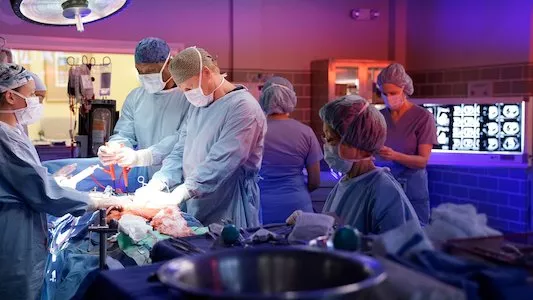 Poster del episodio 8 de Anatomia de Grey online