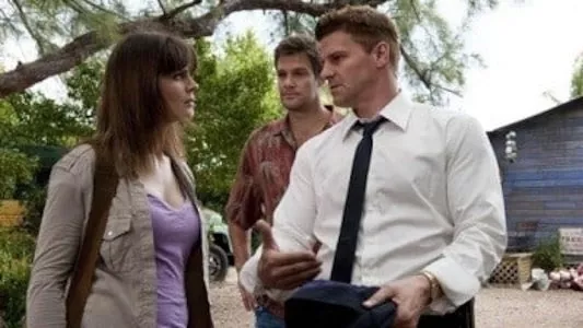 Poster del episodio 19 de Bones online