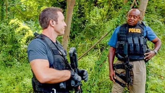 Poster del episodio 12 de Hawai 5.0 online