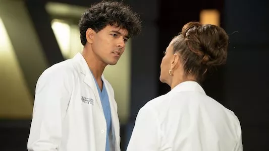 Poster del episodio 15 de Anatomia de Grey online