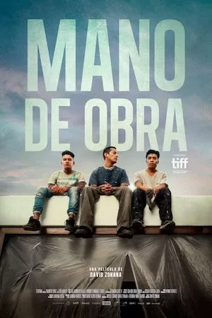 poster de la pelicula Mano de obra en HD