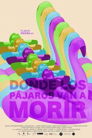 Donde los pájaros van a morir