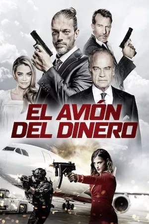 Poster Money Plane