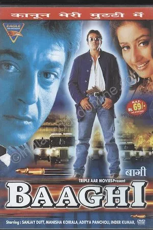 Poster Baaghi