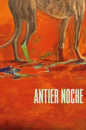 Poster Antier noche